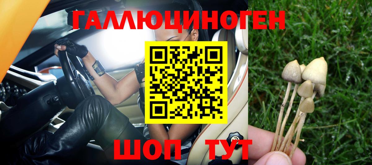 Галлюциногенные грибы прущие грибы  продажа наркотиков  Сергиев Посад  Вход с VPN 